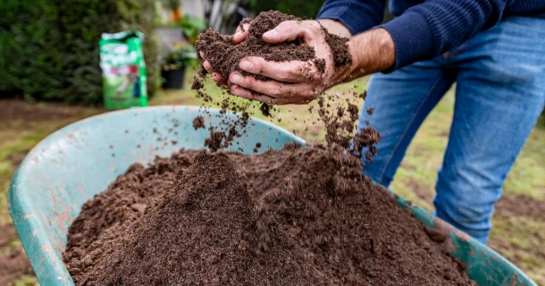 Bodemverbeteraar voor je gazon: 4 toepassingen die bijdragen aan een dichte en gezonde grasmat Thumb