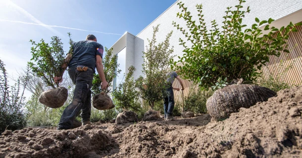 SOIL-ACTIV, bodemverbeteraar voor vlotte tuinprojecten en minder arbeid Thumb