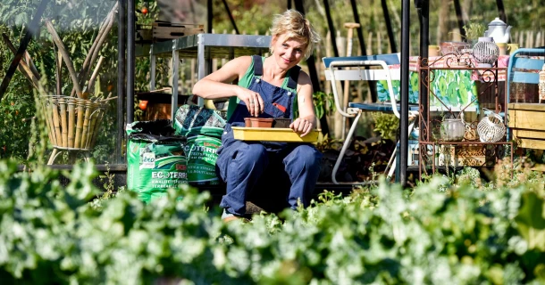 Je moestuin aanleggen van A tot Z: zo ga je te werk Thumb