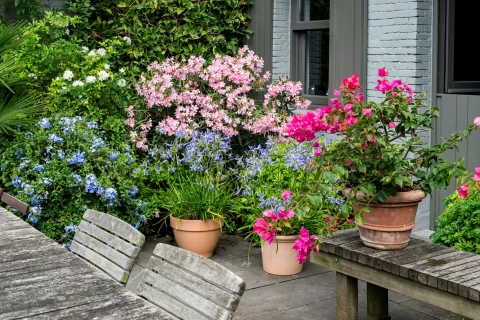 Een balkon vol natuur Thumb