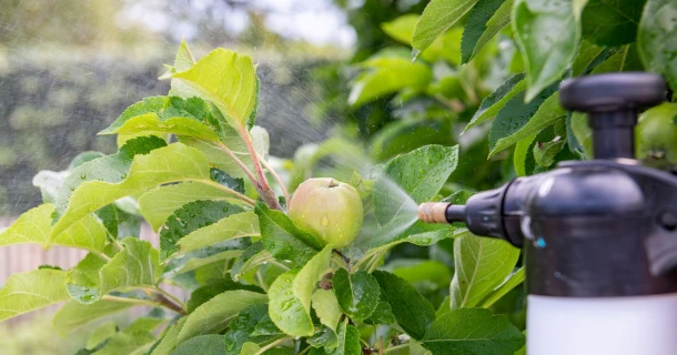 Help schimmels op je planten te voorkomen, met spuitzwavel Thumb