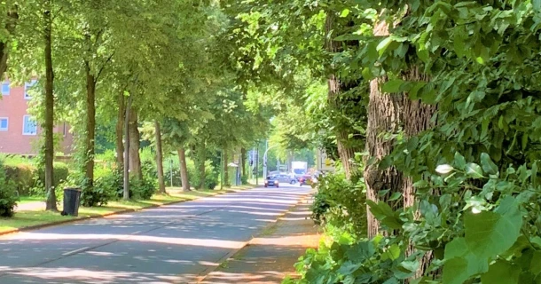Ondersteuning van groei en tolerantie voor zoutstress dankzij REDU-ACT® Thumb