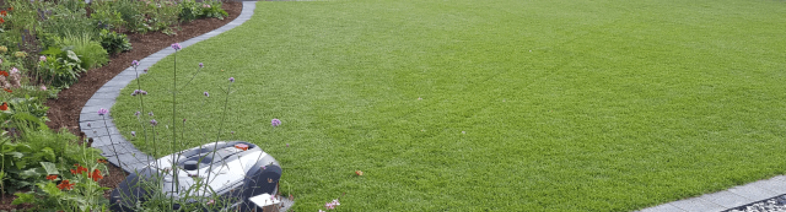 Header image alt