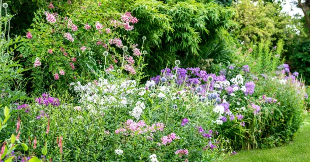 Creëer de mooiste siertuin met de juiste meststoffen Thumb