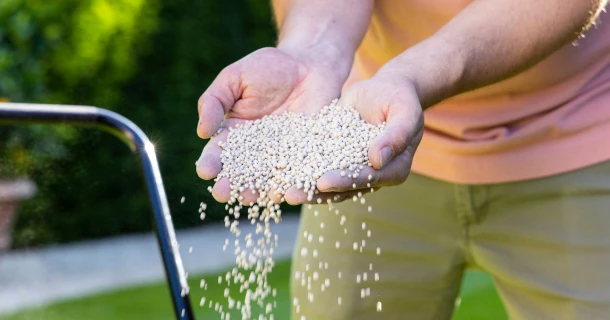 Kalk, de geheime bondgenoot van jouw tuin Thumb