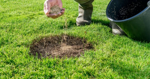 Herstel de kale plekken in je gazon in enkele stappen Thumb