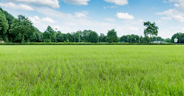 DCM TERRENO® Graszaadmengsel voor een geslaagd sportveld Thumb