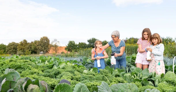 Bescherm je planten met brandnetelgier Thumb