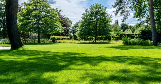 Hoe wapen je je tuin tegen de hitte? Thumb