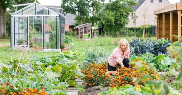 De krachtige bodemverbeteraar voor je moestuin, met levende organismen Thumb