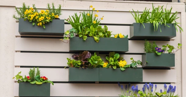 Verticaal tuinieren: de slimme oplossing voor balkons Thumb