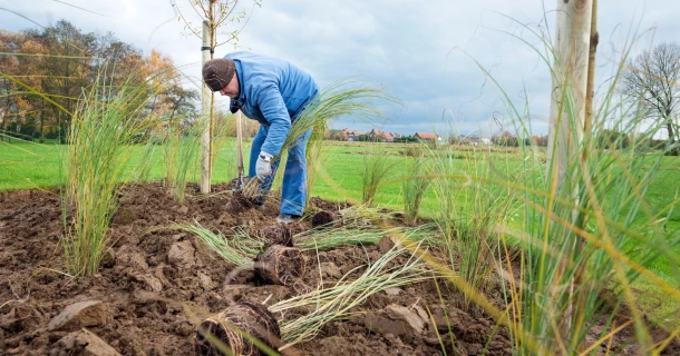 Tuinen Brouckaert geeft planten een sterke start met DCM VIVIMUS® Thumb