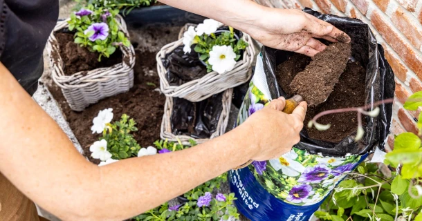 Potgrond met waterkristallen: help uitdroging bij je planten te voorkomen Thumb
