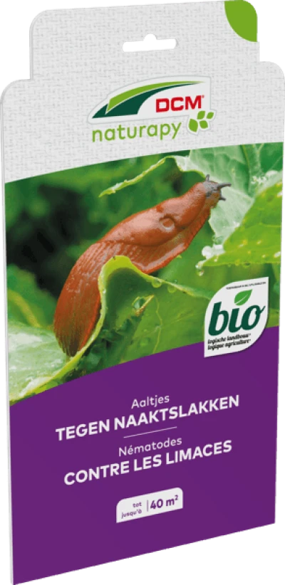 Aaltjes tegen naaktslakken in de sier- en moestuin thumbnail