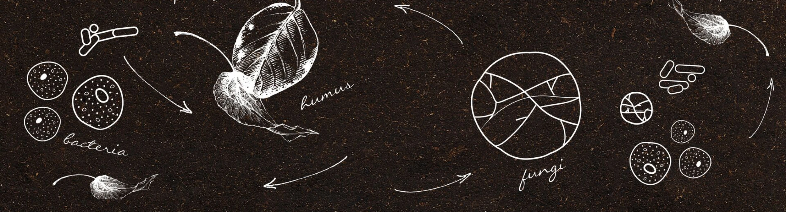 Header image alt