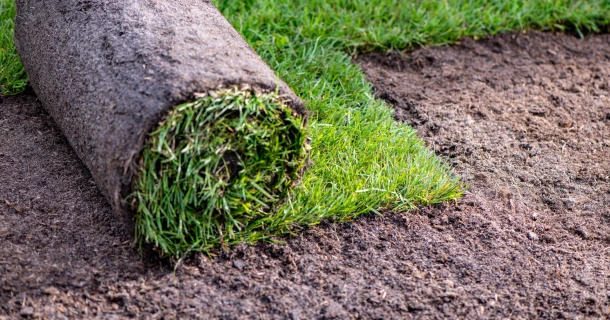 Gramefo Graszoden is overtuigd van organisch-minerale meststof DCM MIX 6 Thumb