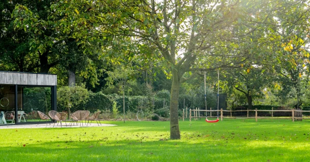 Plant een boom in je tuin, en tackle de hitte. Thumb
