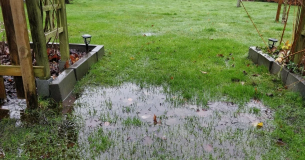 Wat elke tuinaannemer over waterbeheer moet weten Thumb