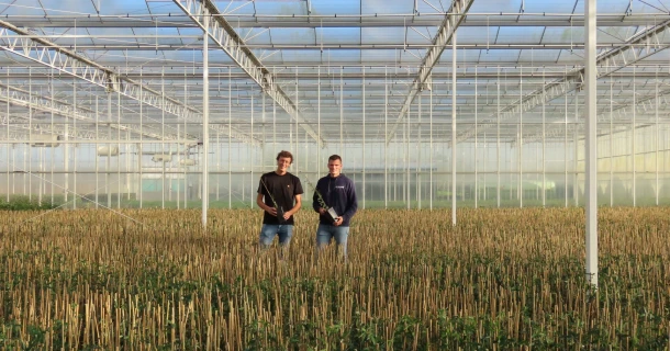 Streng Growers overtuigd van hybride bemesting in containerteelt Thumb