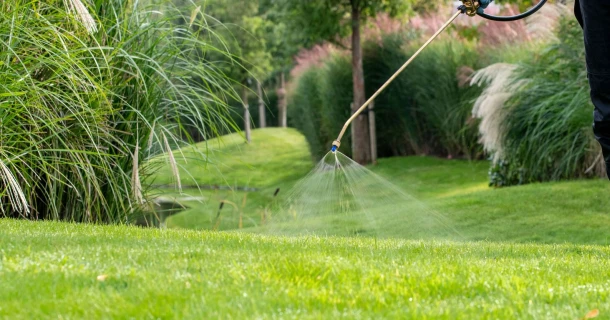 DCM LIQUID GREEN: Vloeibare, snelwerkende gazonmeststof voor een diepgroen gazon Thumb
