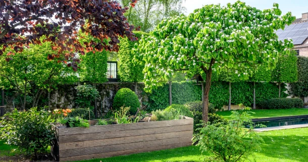Een voedselbos(je) in jouw tuin? Zo begin je eraan Thumb